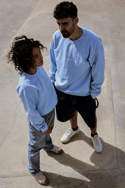 Unisex Cipher Crewneck Longsleeve (Garnet and Light Blue)